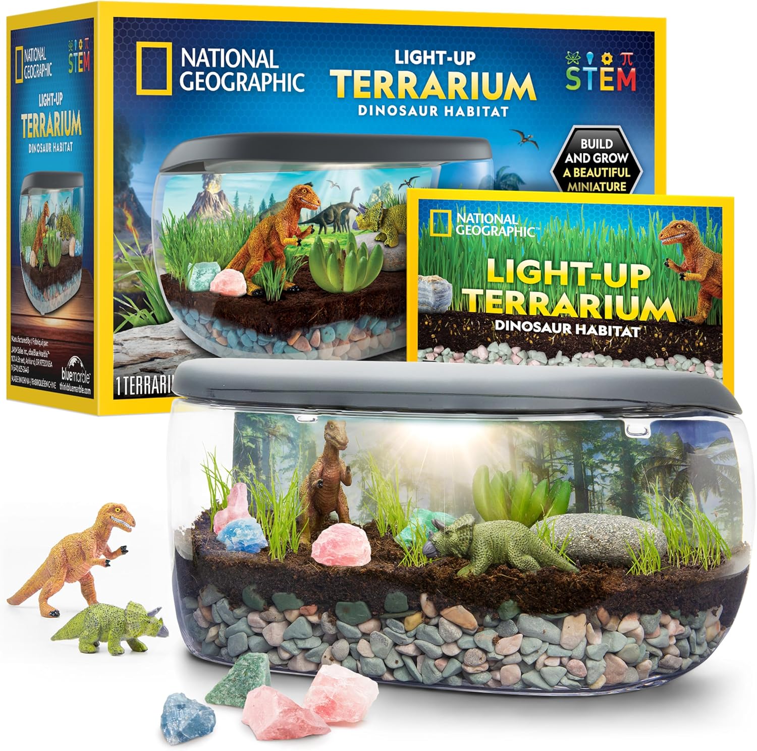 National Geographic Light Up Terrarium Kit